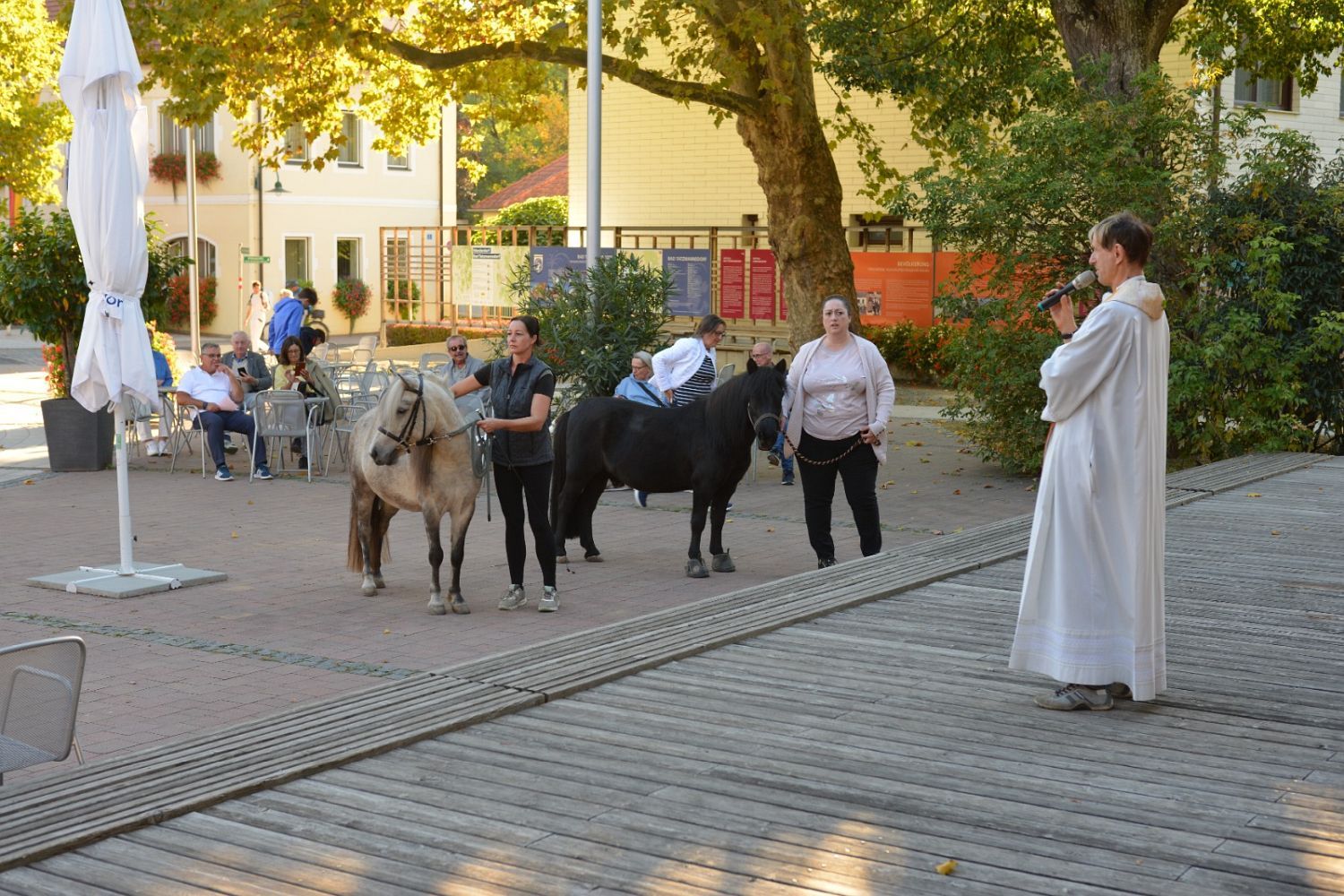 image003