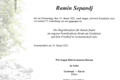 20210114-Sepandj-Ramin